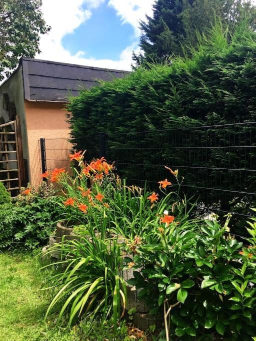 Apartment Messe With 2 Bedrooms, Kitchen And Garden Dusseldorf